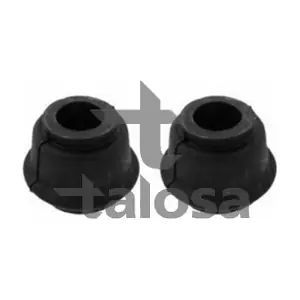5721343 TALOSA