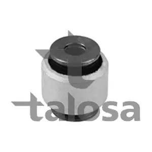 57-19866 TALOSA