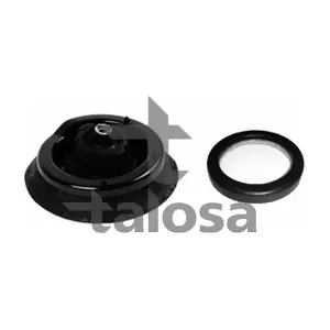 63-21113 TALOSA