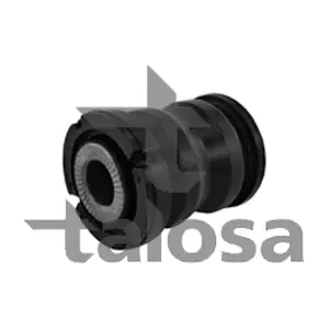57-19887 TALOSA