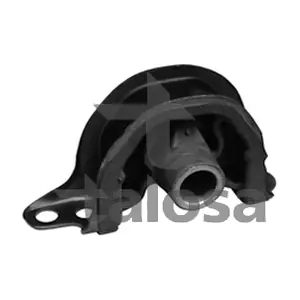61-06817 TALOSA