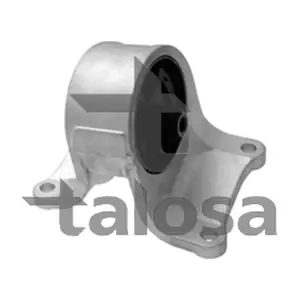 61-25658 TALOSA