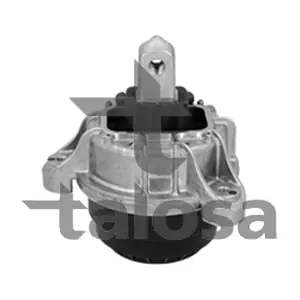 61-25619 TALOSA