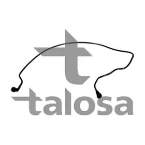 70-18868 TALOSA