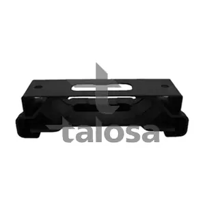 61-25667 TALOSA