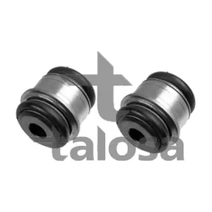 57-21300 TALOSA