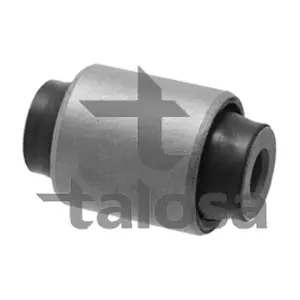 57-13894 TALOSA