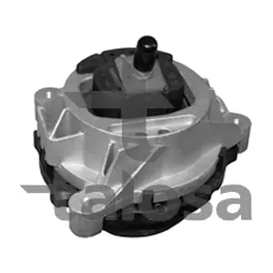 61-13268 TALOSA