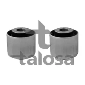 57-21621 TALOSA