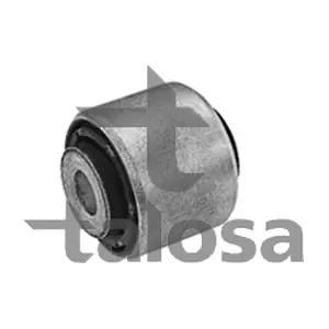 57-19876 TALOSA