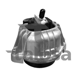 61-06629 TALOSA