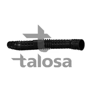 69-18909 TALOSA