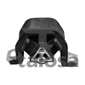 61-06959 TALOSA