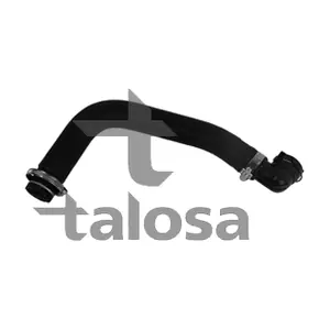 67-19096 TALOSA