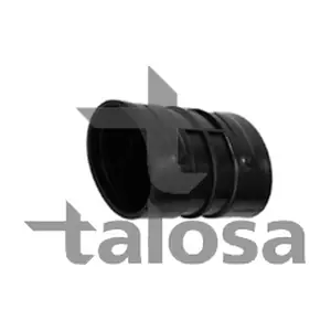 69-20033 TALOSA
