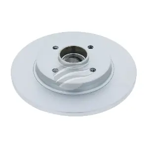 424945 DS (CAPSA)