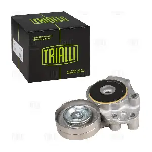 CM 5381 TRIALLI