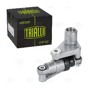 CM 5497 TRIALLI