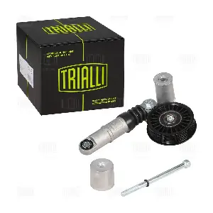 CM 5498 TRIALLI