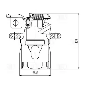 CF 800295 TRIALLI