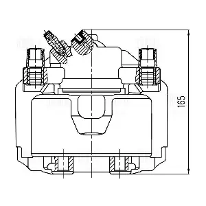 TRIALLI CF 800484