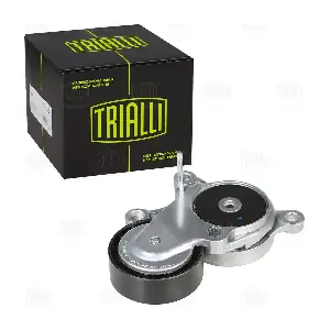 CM 5613 TRIALLI