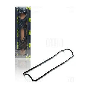 GZ 101 0312 TRIALLI