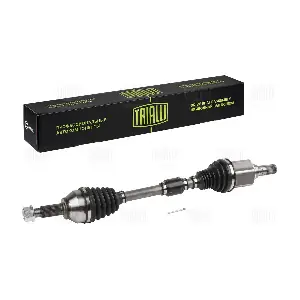 AR 1421 TRIALLI
