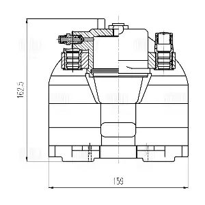 TRIALLI CF 208301