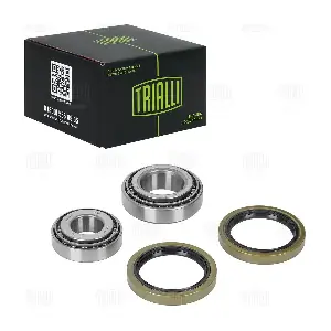 CS 1813 TRIALLI