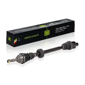 AR 0901 TRIALLI