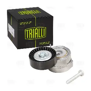 CM 5379 TRIALLI