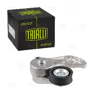 CM 5378 TRIALLI