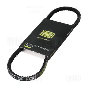 TRIALLI AVX10X713