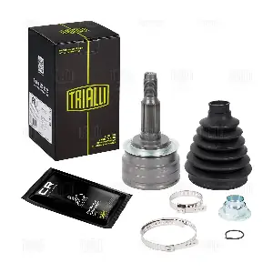 GO 0519 TRIALLI