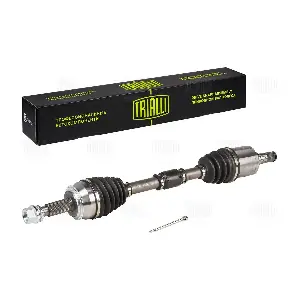 AR 1461 TRIALLI