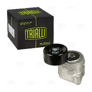 CM 5394 TRIALLI