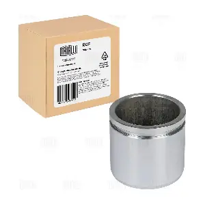 RCF 012104 TRIALLI