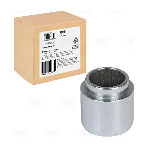 RCF 012009P TRIALLI