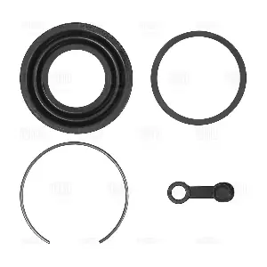 RCF 012079 TRIALLI
