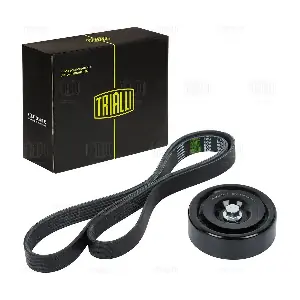 GD 1201 TRIALLI