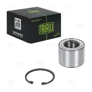 CS 1684 TRIALLI
