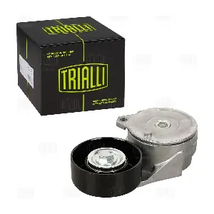 CM 5482 TRIALLI
