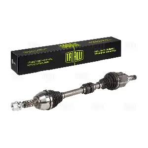AR 1419 TRIALLI