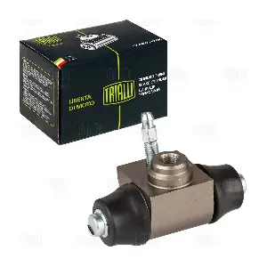 TRIALLI CF 2001