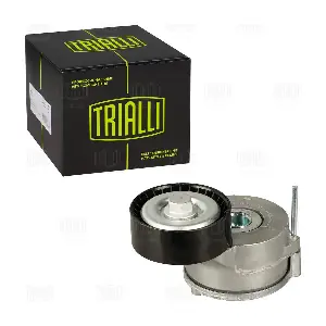 CM 5464 TRIALLI