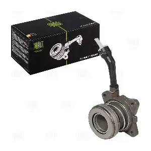 CT 1019 TRIALLI