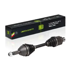 AR 0522 TRIALLI