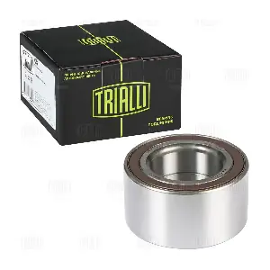 CS 1027 TRIALLI