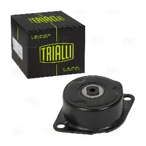 CM 5491 TRIALLI